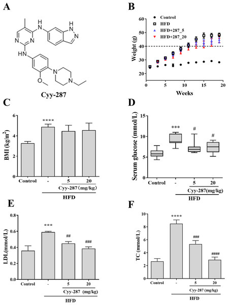 Cyy-287 restrains the occur of hyperglycosemia and hyperlipidemia induced by HFD in mice.