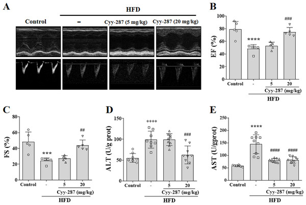 Cyy-287 improves cardiac and hepatic dysfunction induced by HFD in mice.