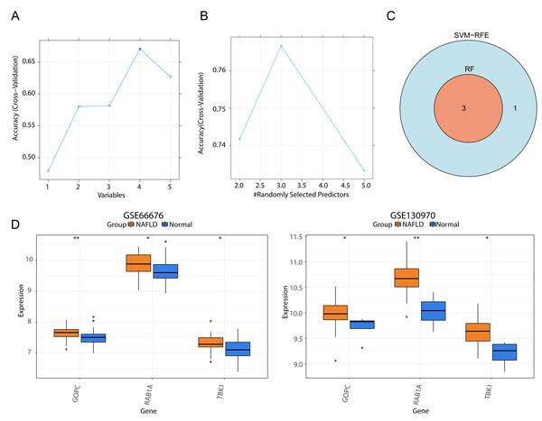 Screening of three feature genes and expression verification in two public datasets.