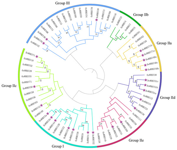 Phylogenetic tree analysis of the WRKY proteins in D. opposita and Oryza.