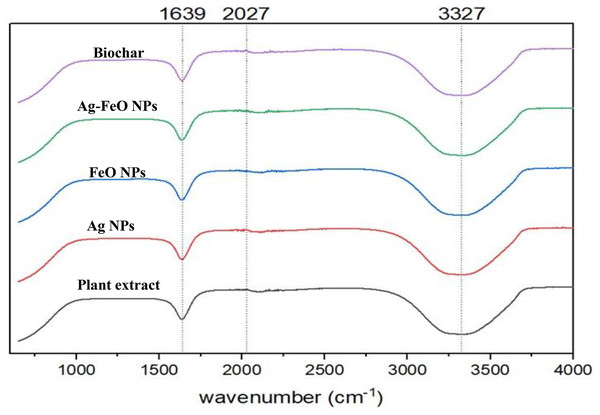 The FTIR spectra of A. digitata fruit shell extract, phyto-fabricated nanoparticles, and biochar.