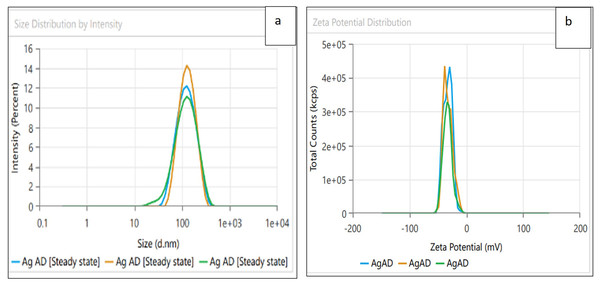 (A) Size distribution and (B) zeta potential distribution for the AgNPs fabricated by A.digitata.