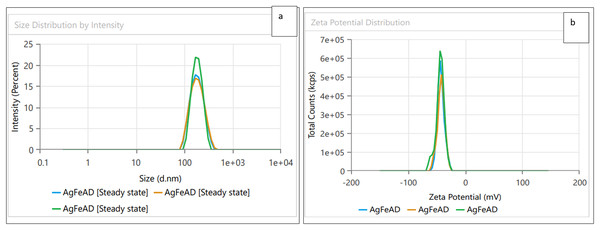 (A) Size distribution and (B) zeta potential distribution for the bimetallic Ag-FeONPs fabricated by A. digitata.