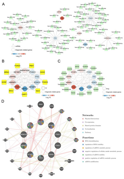 Networks associated with ten optimal m6A-related differentially expressed genes (DEGs).