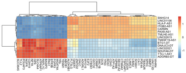Heat map of correlation among 15 lncRNAs and the top 50 mRNAs.