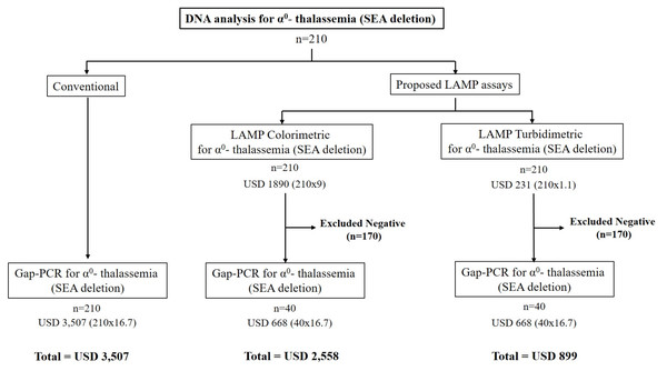 The cost-effectiveness of the proposed LAMP turbidimetric assays for detecting α0-thalassemia (SEA deletion) compared with LAMP colorimetric assays and conventional protocol.