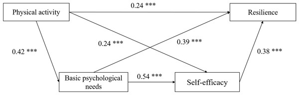 A serial indirect effect model for physical activity, basic psychological needs, self-efficacy, and resilience.