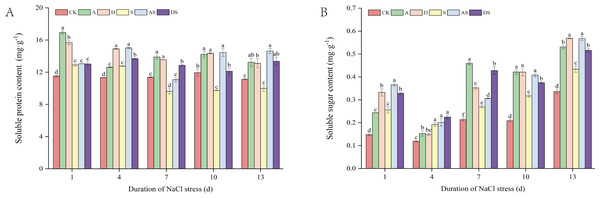 Effects of PGRs on soluble protein and soluble sugar content in rice roots.