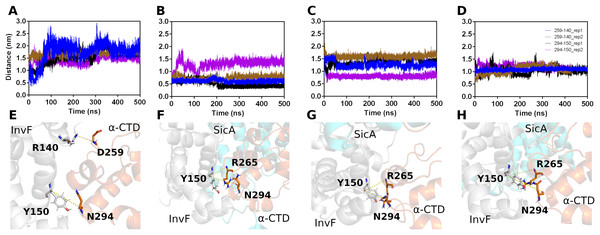 Interactions between Residues of 
$\alpha$α
-CTD, InvF, and SicA during molecular dynamics simulations.