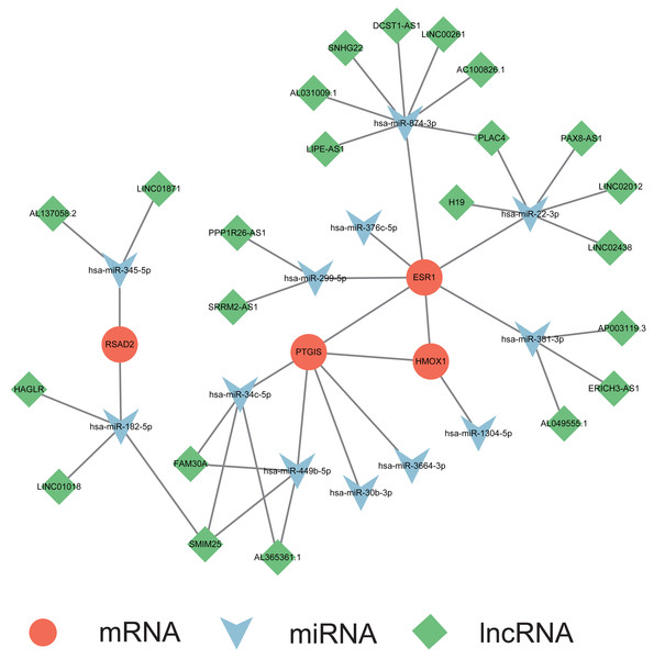 Construction of mRNA-miRNA-lncRNA multifactorial regulatory network in endometriosis.