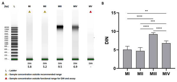 DNA integrity for methods I–V.