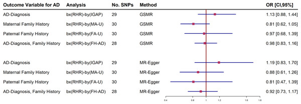 Forest plot of Mendelian randomization (MR) estimate of the relationship between resting heart rate (RHR) and Alzheimer’s disease diagnosis (AD, International Genomics of Alzheimer’s Project, (IGAP)) or family history of AD from UK Biobank (UKBB).