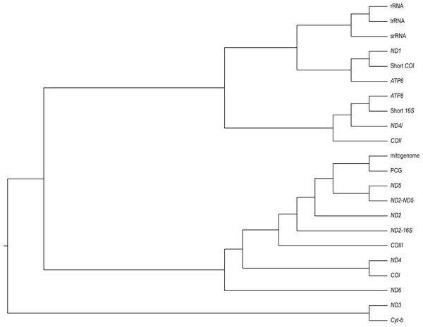 A neighbour-joining dendrogram for Robinson-Fould distances between Bradypodion topologies inferred for different genes in the mitogenome.