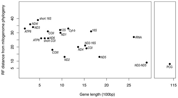 Gene fragment length (in 100 bp) versus Robinson-Fould distance from the complete mitogenome phylogeny for each mitochondrial gene fragment/partition for Bradypodion.