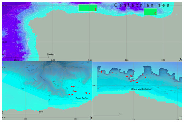 Geographical and bathymetric overview of study areas in the Cantabrian Sea.