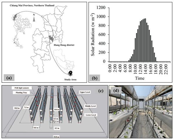 (A) Location of the study area, administrative boundary data taken from OCHA (2023). (B) Average values of solar radiation at the study area. (C) Layout of vertical shelves inside the greenhouse, and (D) Inside-view of experimental room.