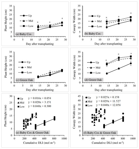 (A–D) Average values of plant height and canopy width of ‘Baby Cos’ and ‘Green Oak’ at three measurement dates (14, 21 and 28 DAT). (E–F) relationships between plant growth (height and canopy width) and cumulative DLI of both ‘Baby Cos’ and ‘Green Oak’.