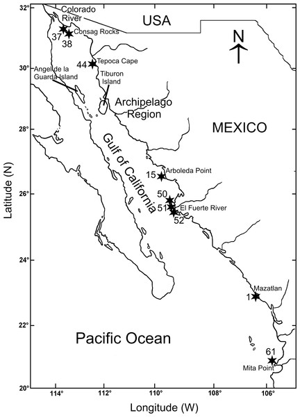 Gulf of California including the sampling stations where Heterospio variabilis sp. nov. was collected.