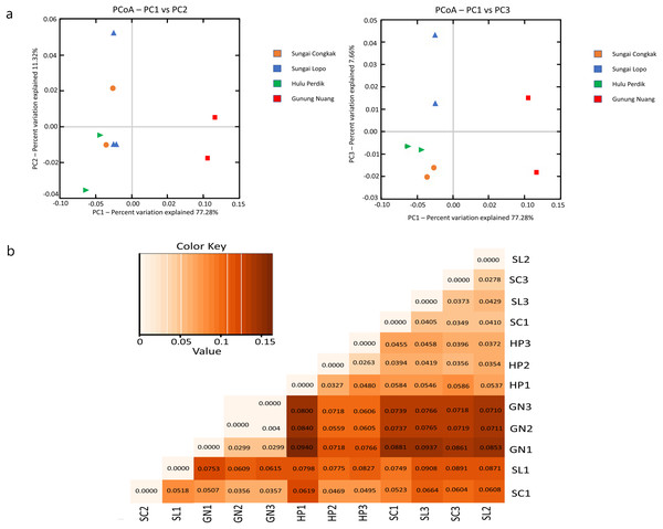The beta diversity results of the water samples; the (A) PCoA between the HP, SL, SC, and GN sampling sites based on OTUs abundance (weighted UniFrac distance) and (B) heatmap based on the distance matrix analysis with weighted UniFrac.
