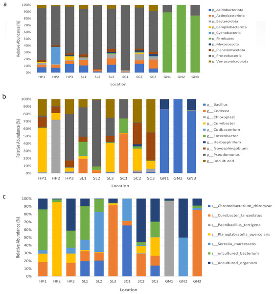 The relative abundance of the major 10 bacteria at the (A) phyla, (B) genera, and (C) species levels based on OTUs abundance obtained from sites 1, 2, and 3 in HP, SL, SC, and GN.
