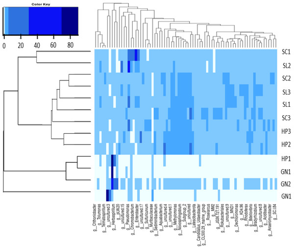 The heatmap and hierarchical cluster results based on the relative abundance of bacterial communities in the water samples.