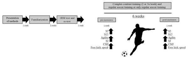 Experimental design of the study.