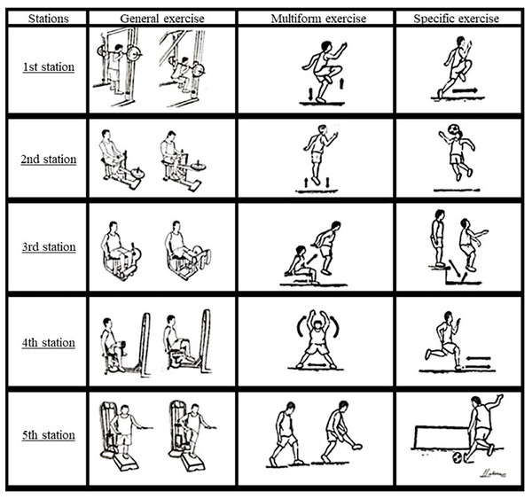 Exercises performed in the five stations of CCT.