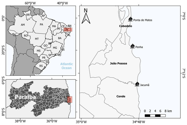 Studied areas in Paraiba, Northeast Brazil: Cabedelo, João Pessoa and Conde.