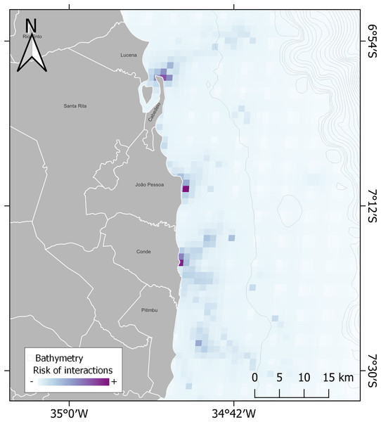 Modelling of risk of interactions between sea turtles and small-scale fishery.