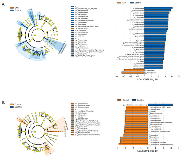 LEfSe analysis indicating the significantly differentiated taxa for CMC and lecithin group.