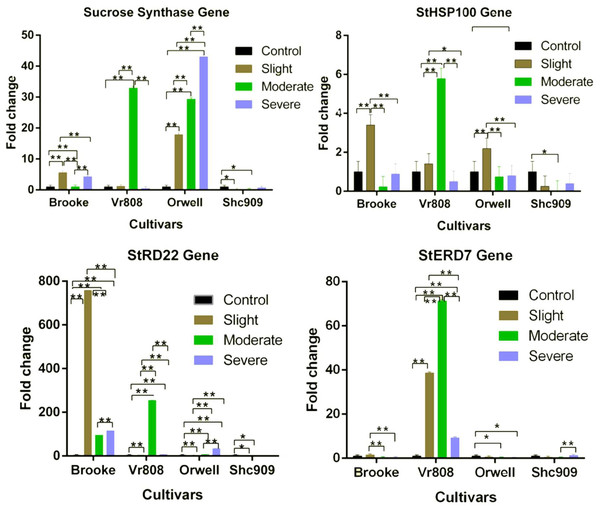 Gene expression change in four potato genotypes under control and tree drought stress.