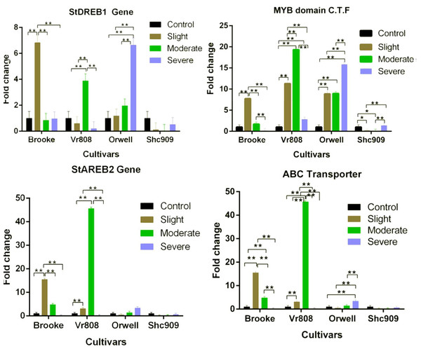 Gene expression change in four potato genotypes under control and tree drought stress.