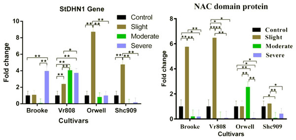 Gene expression change in four potato genotypes under control and tree drought stress.