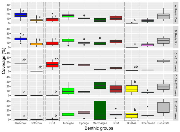The coverage of major benthic groups from each habitat category.
