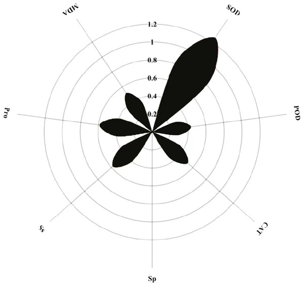 Exogenous melatonin improves germination rate in buckwheat under high ...