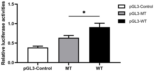 The effect of rs11278315 on gene transcriptional activity.