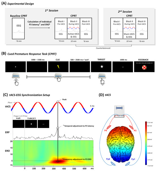 Overview of the study design.