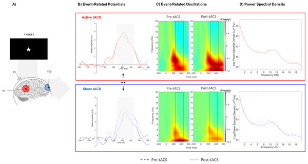 Results from EEG analysis of target-P3 at Pz electrode site.
