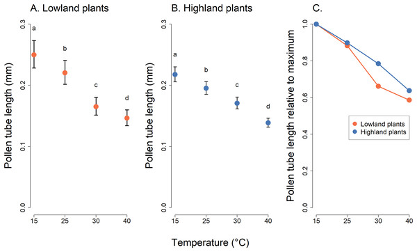 Pollen tube length of plants from the lowland and the highland at four temperature levels.
