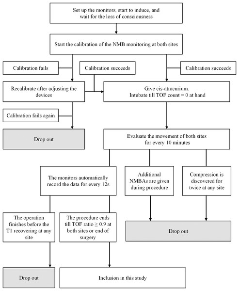 Flowchart illustrating the methods employed for patient inclusion.