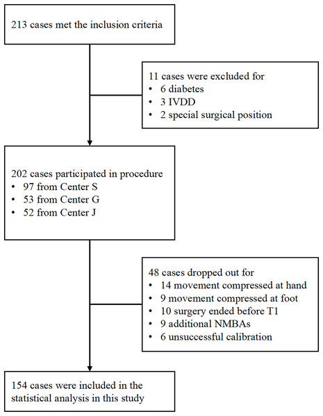 Flowchart depicting the process of patient inclusion.