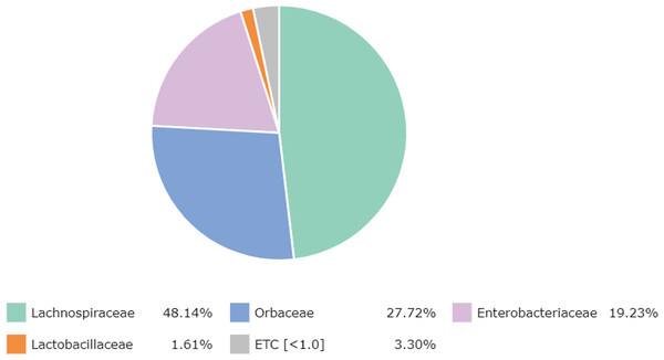 Major bacterial families in the honey of Apis cerana.