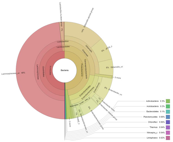 Krona plot of bacterial community in the honey of Apis cerana with a cut-off of 1%.