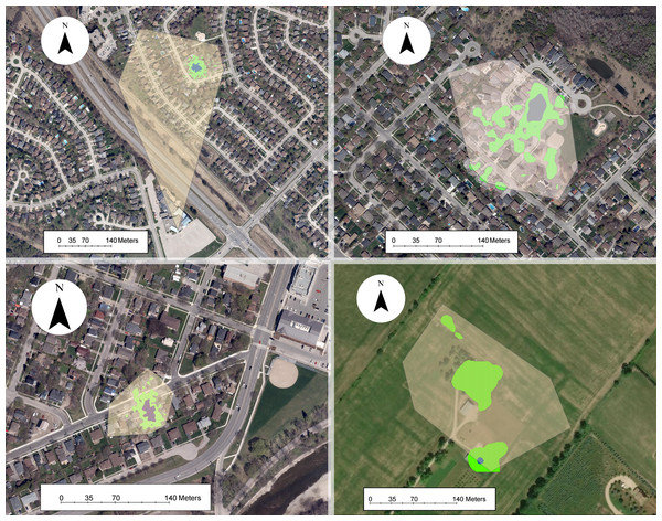 Examples of owned cat home ranges tracked via GPS.