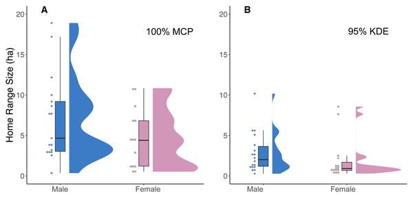 A raincloud plot illustrating the data distribution of 100% MCP and 95% KDE home range data for male and female cats.