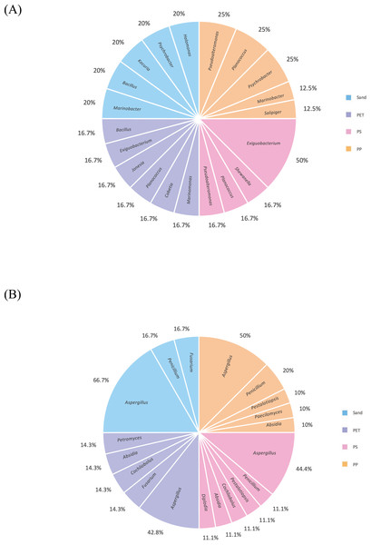 Pie charts represent the microbial composition of bacterial and fungal genera in PP, PS, PET, and sand samples under culture-dependent condition.