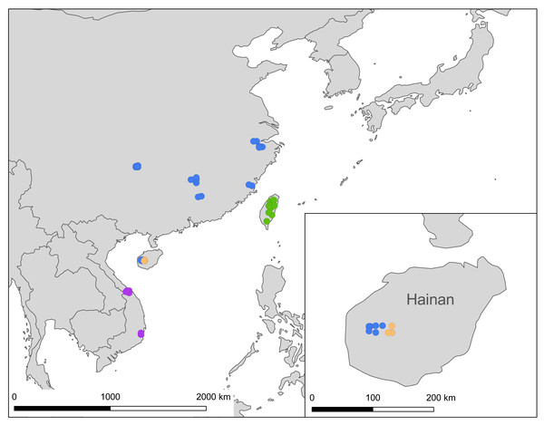 A map showing localities of the Ravenna nivea samples used in the present study, with each subspecies depicted by a circle colored in accordance with those shown in Fig. 2.