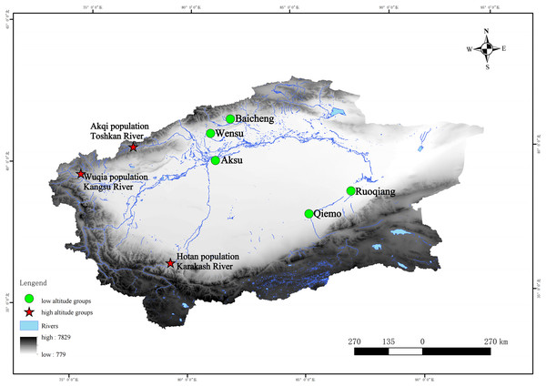 Geographic characteristics and locations of the sampling sites and reference sequences of this study.