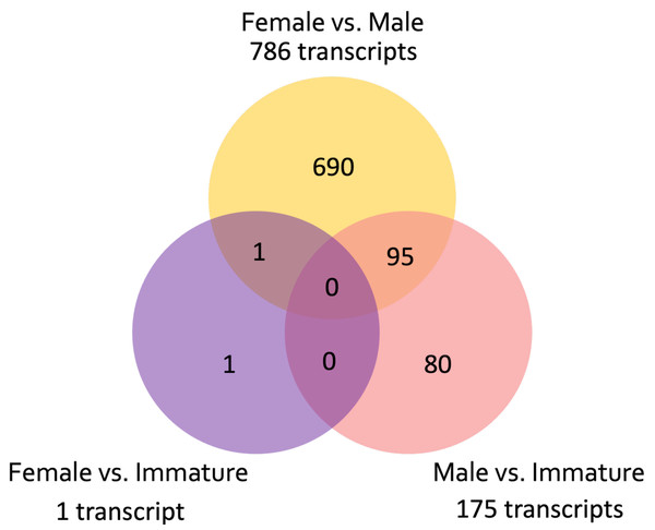 Venn diagram showing the number of unique and common differentially expressed transcripts (n = 855; FDR > 0.001) across pairwise comparisons of sample groups: Female, Male, and Immature.