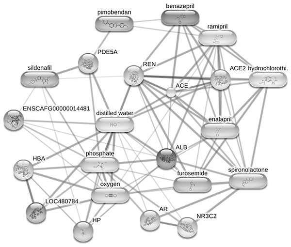 Phosphoproteomics analysis of serum from dogs affected with pulmonary ...